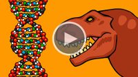 video_thumb_what_is_dna