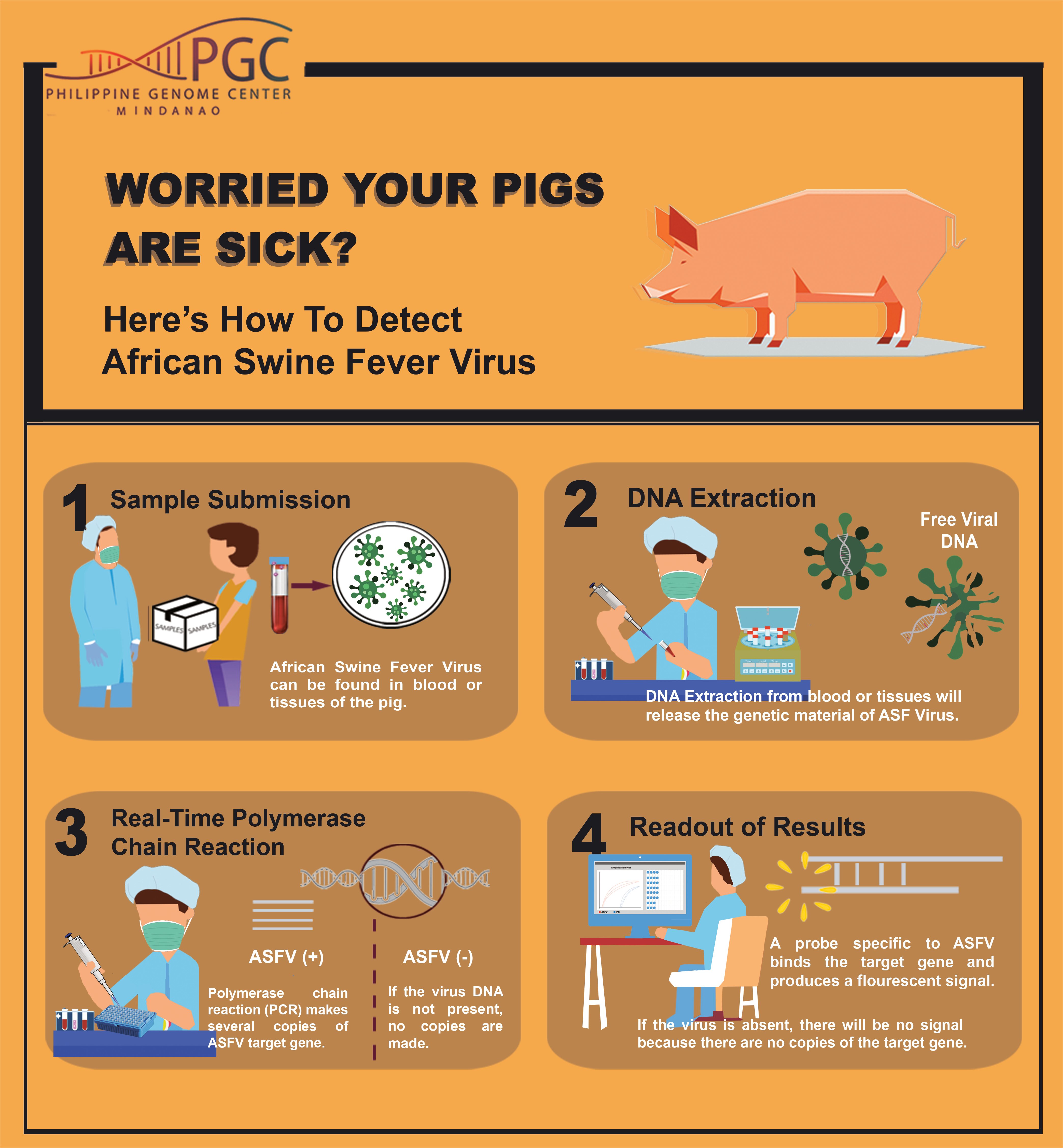 PGC Mindanao detects presence of African Swine Fever (ASF) Virus in the